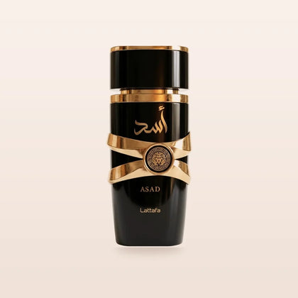 Lattafa Asad 100 ml