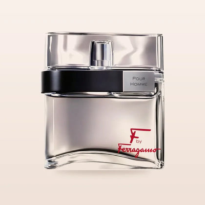 Salvatore Ferragamo Pour Homme 100 ml